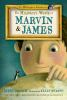 Book cover for The miniature world of Marvin & James.