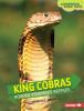 Book cover for "King cobras".