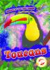 Book cover for "Toucans".