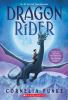 Book cover for Dragon rider.