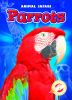 Book cover for "Parrots".