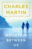 Book cover for "The mountain between us".