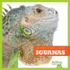 Book cover for "Iguanas".