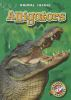 Book cover for "Alligators".