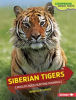 Book cover for "Siberian Tigers".