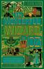 Book cover for The wonderful Wizard of Oz.