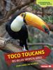 Book cover for "Toco toucans".