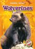 Book cover for "Wolverines".