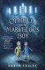 Book cover for Ophelia and the marvelous boy.
