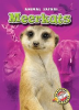 Book cover for "Meerkats".