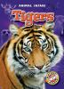 Book cover for "Tigers".