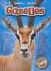 Book cover for "Gazelles".