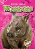 Book cover for "Wombats".