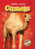 Book cover for "Camels".