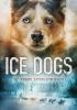 Book cover for Ice dogs.