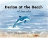 Book cover for "Declan at the Beach".