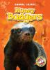 Book cover for "Honey badgers".