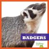 Book cover for "Badgers".